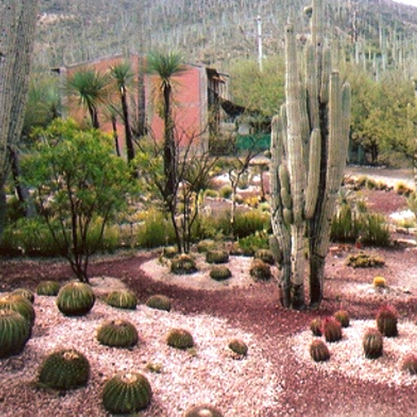 Jardin Botanico y Jardin de Cactaceas